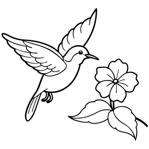 Colibri em Harmonia com a Flor