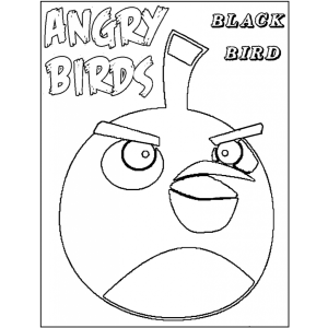 Colore o Black Bird de Angry Birds
