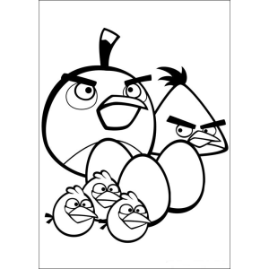 Colorindo a Aventura dos Angry Birds