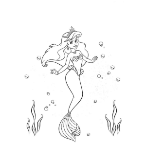 Colorindo a Magia de Ariel