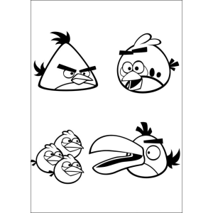 Colorindo Aventura: Os Irados Angry Birds