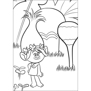 Colorindo a Aventura da Poppy dos Trolls