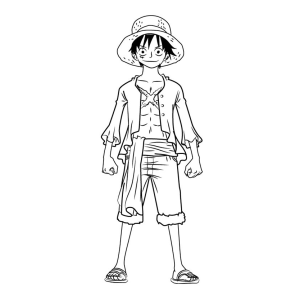 Colorindo Aventuras com Luffy