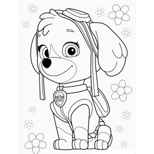 Colorindo Aventuras com Skye da Patrulha Canina
