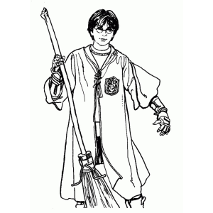 Colorindo Aventuras de Harry no Quadribol