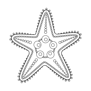 Colorindo a Estrela do Mar Encantada