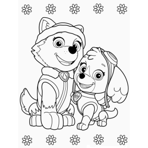 Colorindo Everest e Skye da Patrulha Canina