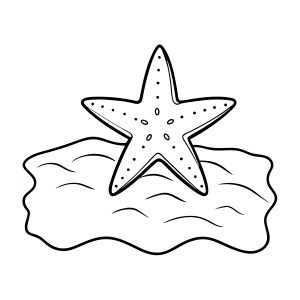Colorindo o Fascínio da Estrela do Mar