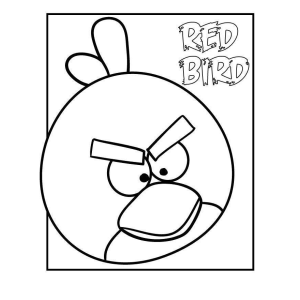 Colorindo o Red Bird dos Angry Birds