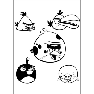 Colorindo os Famosos Angry Birds