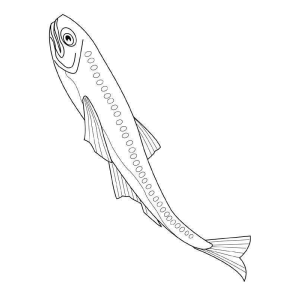 Colorindo o Peixe Fascinante