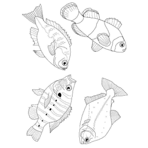 Hora de colorir peixes fantásticos