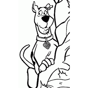 Colorindo Scooby-Doo e Suas Aventuras