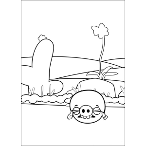 Colorindo um Porquinho de Angry Birds em Ação