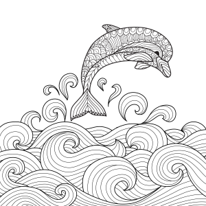 Colorindo o Mar com Golfinhos