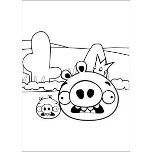 Cores Divertidas com os Porquinhos de Angry Birds
