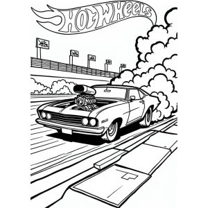 Corrida Alucinante com Hot Wheels