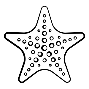 Crie Seu Próprio Design com Estrela do Mar