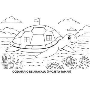 Desbravando o Oceano com a Tartaruga