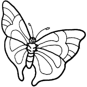 Desenho de Borboleta para Colorir