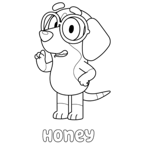 Divertido Desenho de Honey para Colorir
