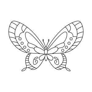Desenho Intricado de Borboleta para Colorir
