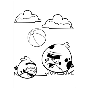 Dia Divertido com os Angry Birds