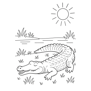 Dia de Sol para o Jacaré Sorridente