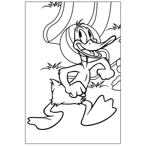 Diversão com o Pato Alegre