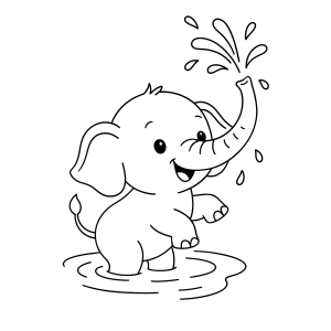 Divertido Elefante na Pataquinha