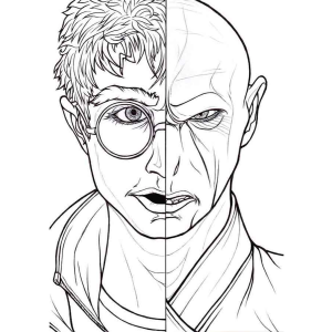 Duel of Destinies: Harry vs. Voldemort