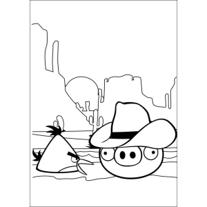 Duelo do Velho Oeste: Angry Birds