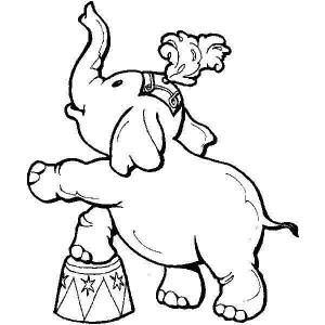 Explorando a Cena Adorável do Elefante Artista