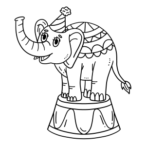 Elefante Festivo no Circo