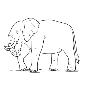 Elefante Majestoso para Colorir