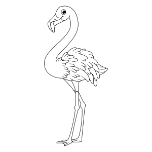 Elegante Flamenco à Sua Maneira