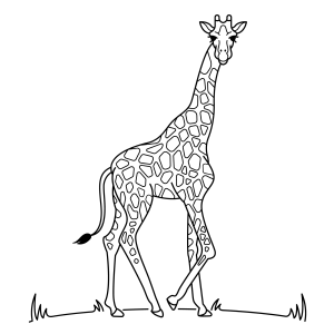 A Elegante Girafa no Seu Habitat