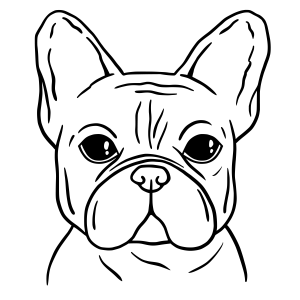 Encantador Bulldog em Preto e Branco