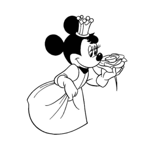 Encanto Real com Minnie