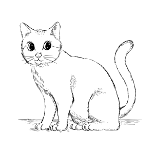 Enigmatic Feline Illustration