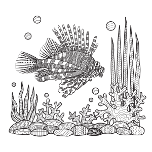 Esplendor Submarino: Peixe-Leão