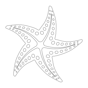 Estrela do Mar Encantada