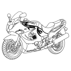 Explore a Speedy Ride