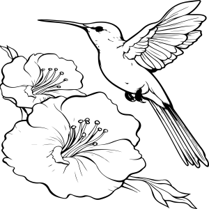 Explosão de Cores com Beija-Flor e Flores