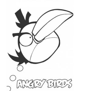Explosão de Cores com Bomb do Angry Birds