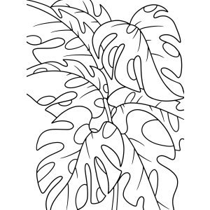 Explosão de Monstera