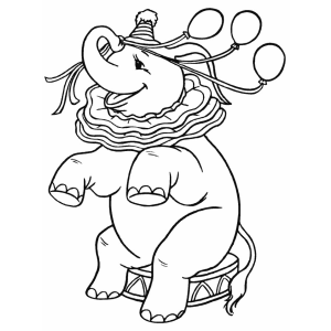A Fantasia do Elefante Circo