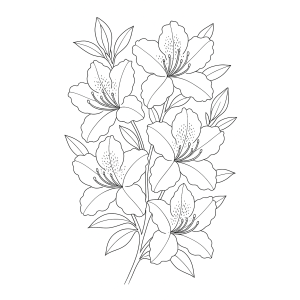 Flores em Harmonia