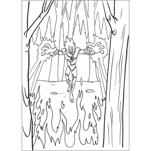 Fogo Selvagem na Floresta
