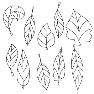 Folhas Encantadas: Uma Jornada de Cores